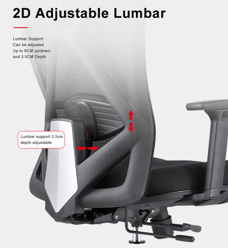 Chaise ergonomique B-31