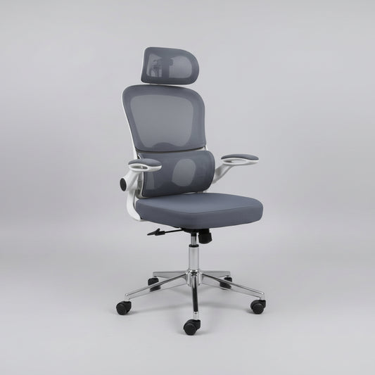 Chaise ergonomique royaume