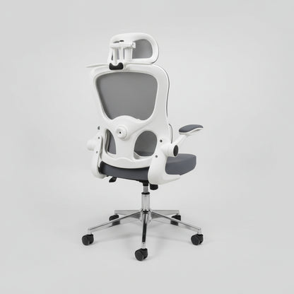 Chaise ergonomique royaume