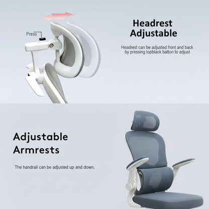 Chaise ergonomique royaume