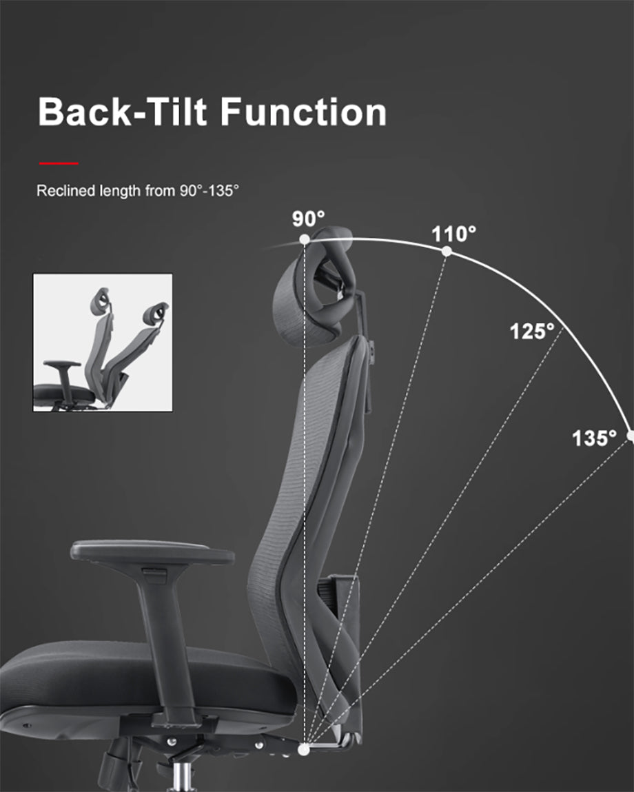 Chaise ergonomique B-31