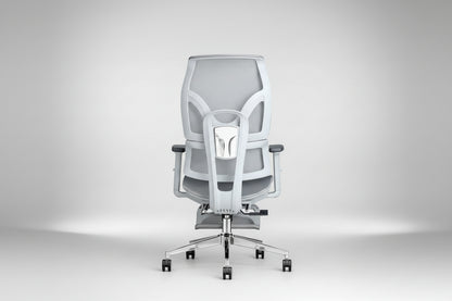 Chaise ergonomique COSMOS