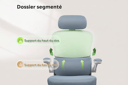 Chaise ergonomique royaume
