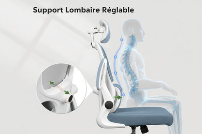 Chaise ergonomique royaume