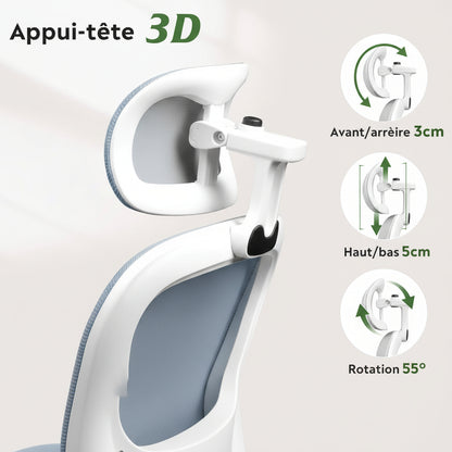 Chaise ergonomique royaume
