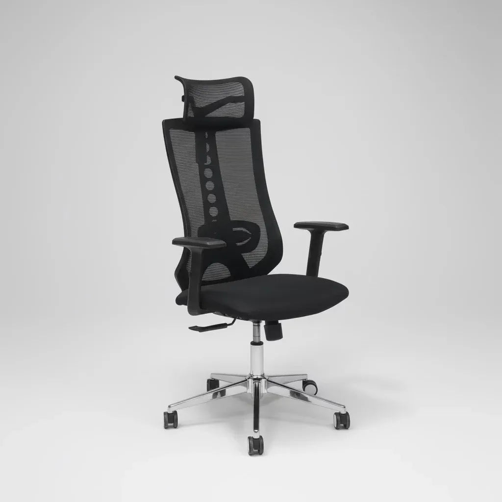 Chaise ergonomique valence